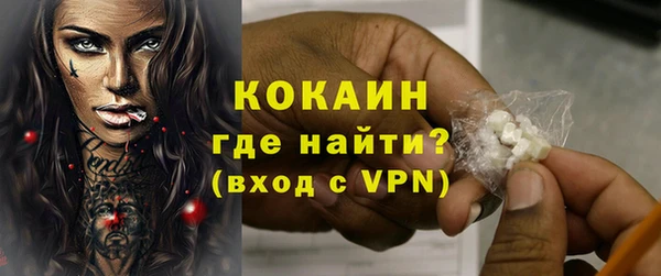 индика Осинники