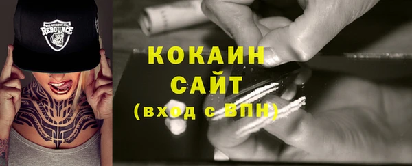 индика Осинники