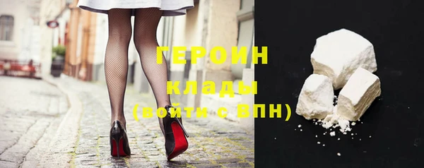 индика Осинники