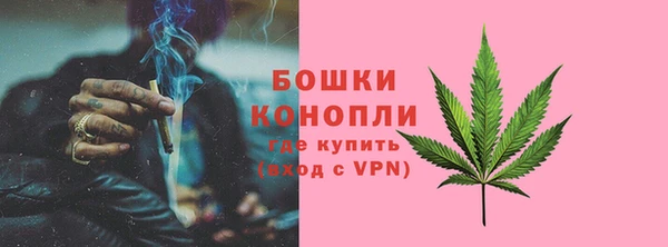 ECSTASY Пересвет