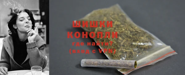ECSTASY Пересвет