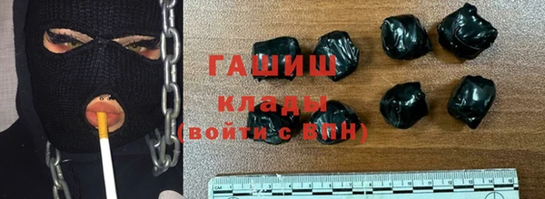 индика Осинники