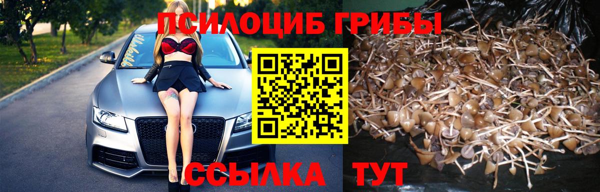 Галлюциногенные грибы прущие грибы  Асбест 