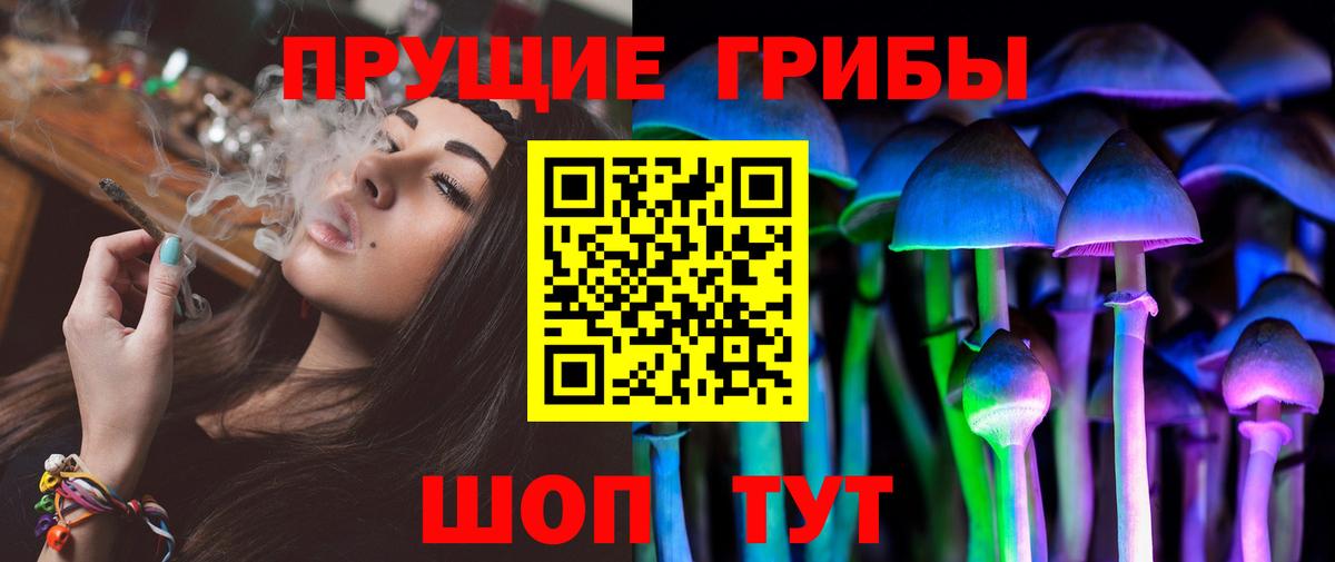 Галлюциногенные грибы Psilocybe Асбест